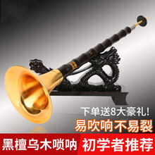 唢呐 精制乌木唢呐  A/B/C/D/E/G/降B唢呐 初学演奏  带哨片 乌木大F调白碗+8大
