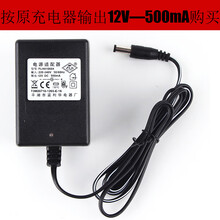 儿童电动车充电器6v12V童车摩托车遥控汽车玩具车电源适配充电器 富利华纯铜12V500MA变灯充电器