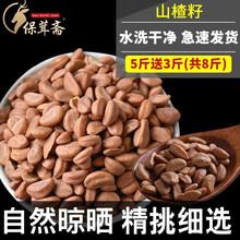 保茸斋 山楂籽  山楂子籽水洗山楂核颈椎枕头填充物游乐场玩具散装 山楂籽 5斤送3斤【共8斤、枕头用量】