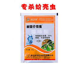 树荣介壳虫 噻嗪酮25%多肉蚧壳虫 蚜虫国光蚧必治高效专用 杀虫剂 30g