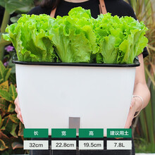 奥美优 种菜盆 长方形种植箱 塑料双层自动吸水花盆花箱 阳台室内花卉绿植蔬菜种植盆 中号 LZ7447