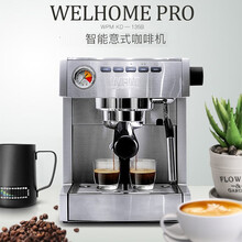 WPM惠家意式咖啡机  家用商用花式打奶泡拉花半自动咖啡机  WELHOME KD-135B 银灰色