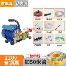 220V伏电动打药机喷雾器高压农药机大功率农用喷药器新式园林果树 1.1KW手提+50米管