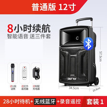 先科A60广场舞音响户外拉杆12吋便携式移动大功率播放器带无线话筒室外K歌家用蓝牙重低音炮手提演出音 12寸普通版【U段无线话筒】
