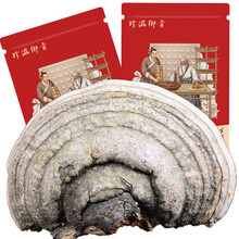 栢晟 木蹄灵芝  灵芝  木蹄层孔菌 木蹄灵芝切片干品 木蹄灵芝100g