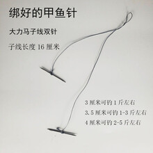 钓甲鱼 钩钓两头尖甲鱼针甲鱼钩老鳖钩王八钩甲鱼钩 钓甲鱼甲鱼勾 绑好子线甲鱼针（3厘米）10副