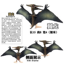 儿童仿真恐龙玩具霸王龙腕龙三角龙小恐龙模型套装卡片软塑胶玩具 深灰色 K5翼龙