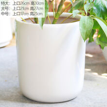 萌然   特大号陶瓷花盆种树白色简约个性直筒室内客厅落地大花盆 特大直筒塑托
