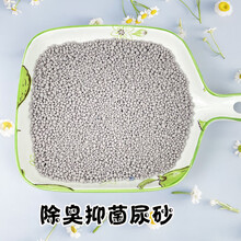 仓鼠尿砂松鼠熊刺猬鼠尿沙防臭除臭颗粒垫料浴沙 除臭尿砂1000g