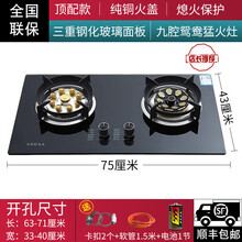 好太太煤气灶双灶家用嵌入式天然气灶台式燃气液化气炉具- 顶配款左九腔猛火灶+钢化玻 璃面板+熄火保护 天然气