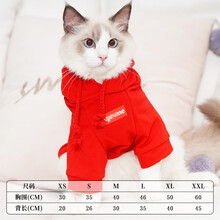 猫咪衣服网红夏季薄款卫衣蓝猫加菲猫英短小猫幼猫成猫服饰猫衣服 潮款卫衣红色 XL