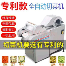 甄樽切菜机商用切片机切丁机切丝机酒店学校饭店食堂用多功能大功率高产量全自动切菜器酸笋切丝小米椒切段 1000型无机头切菜机【切片切丝切段】