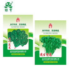 绿亨 叶菜类 中农绿亨2种叶菜类蔬菜套餐种子 菠菜香菜阳台可种