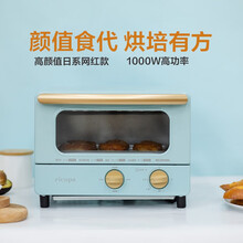 IRIS/日本爱丽思电烤箱多功能家用迷你小型大功率烘焙烤箱EOT-01C EOT-01C（8L烤箱蓝色）