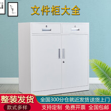 鸿猷胜运办公文件柜铁皮柜带锁矮柜钢制储物资料柜档案柜铁柜子会计凭证柜 二斗矮柜 经济款