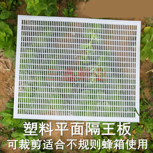 蜜蜂塑料平面隔王板可裁剪中蜂隔皇器意蜂采胶板卧式隔王栅蜂具