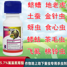 百树菊酯5.7%氟氯氰菊酯果树花卉蔬菜小菜蛾青虫地下害虫杀虫剂 1瓶 20ml瓶