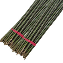 竹干子小竹子细竹竿菜园搭架户外篱笆豆角竹竿旗竹杆跳舞长竹竿粗大竹 1厘米左右粗0.5米长5根