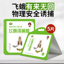 吉越 飞蛾诱捕器强力家用小飞虫米虫衣蛾蛾蚋蛾蠓杀虫剂灭除米面蛾衣蛾粘捕器小飞蛾陷阱粘捕器