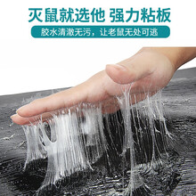 隆华强力粘鼠板灭鼠魔毯老鼠贴粘鼠贴老鼠药鼠强捕鼠神器捕鼠器老鼠夹耗子药驱鼠器粘鼠魔毯老鼠贴 防水型粘鼠毯-白【5张装】单条规格120X28厘米