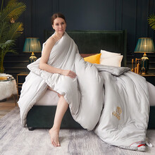 恒源祥集团彩羊家纺乳胶冬被冬天加厚被芯双人棉被春秋棉被单人学生宿舍被子秋冬季四季通用 乳胶被-绅士灰 150*200cm/6斤