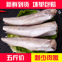 【舔鲜海鲜】无头鱼冷冻海鱼深海雪鱼整条棒棒鱼烧烤明太鱼新鲜鳕鱼宝宝辅食块海鲜生鲜