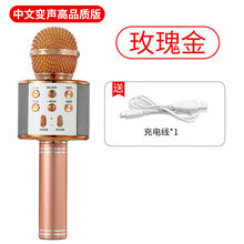 全民K歌麦克风蓝牙话筒无线家用ktv手机唱歌神器变声音响一体通用 中文玫瑰金标配【高品质】