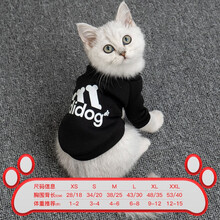 猫咪狗狗衣服夏季春秋薄款比熊柯基泰迪博美小型犬背心茶杯犬服饰 adidog XS