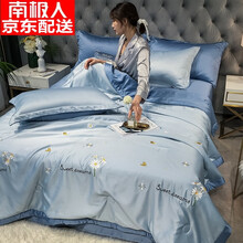 南极人 水洗冰丝空调被四件套莫代尔刺绣夏季薄被子单人冰爽丝滑双人天丝夏凉被 雏菊-兰 150*200cm空调被四件套