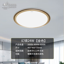 飞利浦（PHILIPS）照明幻镜LED吸顶灯北欧现代简约客厅卧室书房餐厅超薄灯饰灯具无极调光客厅灯 金色24W圆形【墙壁开关三段调色温】