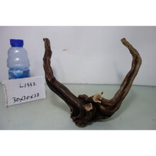 已煮造景沉木水族造景杜鹃根摆件爬宠泰国沉木青龙石 L1332