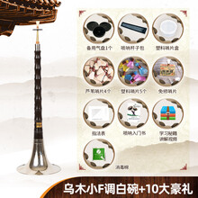唢呐乐器全套 精制唢呐 初学者乌木唢呐 成人大小号唢呐 乌木小F调白碗+10大豪礼