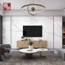 画屏 现代简约电视背景墙瓷砖客厅轻奢影视墙装饰微晶石大理石纹实木柜组合影视墙 高温微晶工艺/0.1个平方