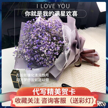 沁花 七夕情人节云南昆明满天星干花大花束直批发生日礼物鲜花速递真花插花花艺礼盒送女友送朋友送花店  A016紫色满天星花束欧雅纸内衬雪梨纸