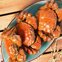 【活蟹】鲜木 盘锦河蟹稻田蟹现货公母公5只母5只蟹鲜活螃蟹缺重包赔 下单预定 公蟹3.1-3.4两10只装