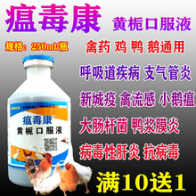 鸡药鸡鸭鹅禽抗病毒流感呼吸道鸡瘟新城疫鸡病禽药大肠杆菌鸭浆膜炎瘟毒康黄栀口服液250ml/瓶 250ml/瓶