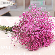 满天星 干花花束 家居摆设装饰小清新干花客厅办公室摆件风干花束 粉红色 满天星 干树枝