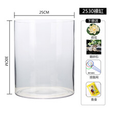 金鱼缸创意超白玻璃裸缸客厅桌面家用摆件圆柱形水族箱小型鱼缸 2530裸缸送荷花鹅卵石