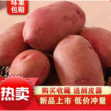 云南新鲜现挖大土豆批发黄心土豆5/10斤马铃薯士豆鲜洋芋土豆 红皮 10斤带箱【大号】净重9-9.5斤