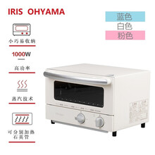 日本IRIS爱丽思家用小型电烤箱蒸汽烤箱迷你蒸烤箱多功能电蒸箱 EOT-RO21白色烤箱