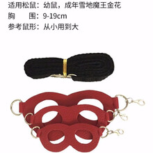 分体背带式松鼠牵引绳鼠魔王金花荷兰猪雪貂小宠防咬用品 三件套红色【从小用到大】