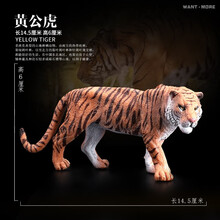 儿童玩具野生动物模型非洲草原猛兽西伯利亚虎黄老虎白老虎 黄公虎
