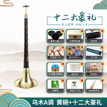 宏艺凤鸣唢呐乐器全套乌木木演奏考级d调初学者入门喇叭 乌木A 调唢呐黄碗+12大