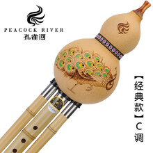 葫芦丝初学C调降B学生入门自学AGFD调金竹楠竹云南紫竹 【经典款】【国色天香】C调+礼包