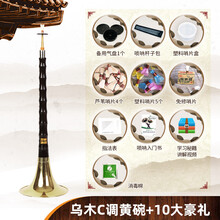 精制初学者唢呐乐器全套乌木唢呐调成人大小号唢呐 乌木C调黄碗+10大