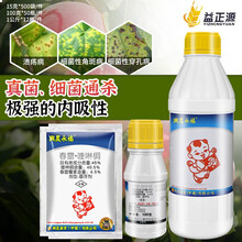 戈击 益正源农资台湾兴农永福春雷霉素喹啉铜柑橘溃疡西瓜细菌性角斑病杀菌剂农药 15g