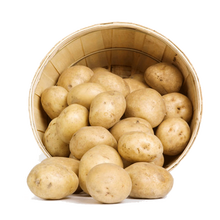 新鲜恩施土豆 老品种黄心小土豆 农家自种洋芋马铃薯 5kg