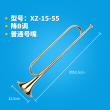 小号乐器青年号少年号鼓号队号少先队号学生号军号C/降B/调 金色降B调标准号嘴