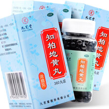 九芝堂 知柏地黄丸 360丸滋阴降火咽痛 潮热盗汗 耳鸣遗精 【3盒装】