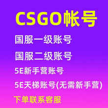 csgo优先白号官匹小号蒸汽认证成品号csgo账号国服优先5e天梯国服一级二级白银黄金绿信21级绿信 5E天梯账号(无需新手营)